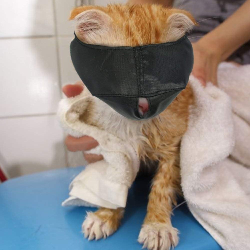 Groomer's Essential Nylon Muzzle for Cats (Medium) - Prevent Scratches Safely