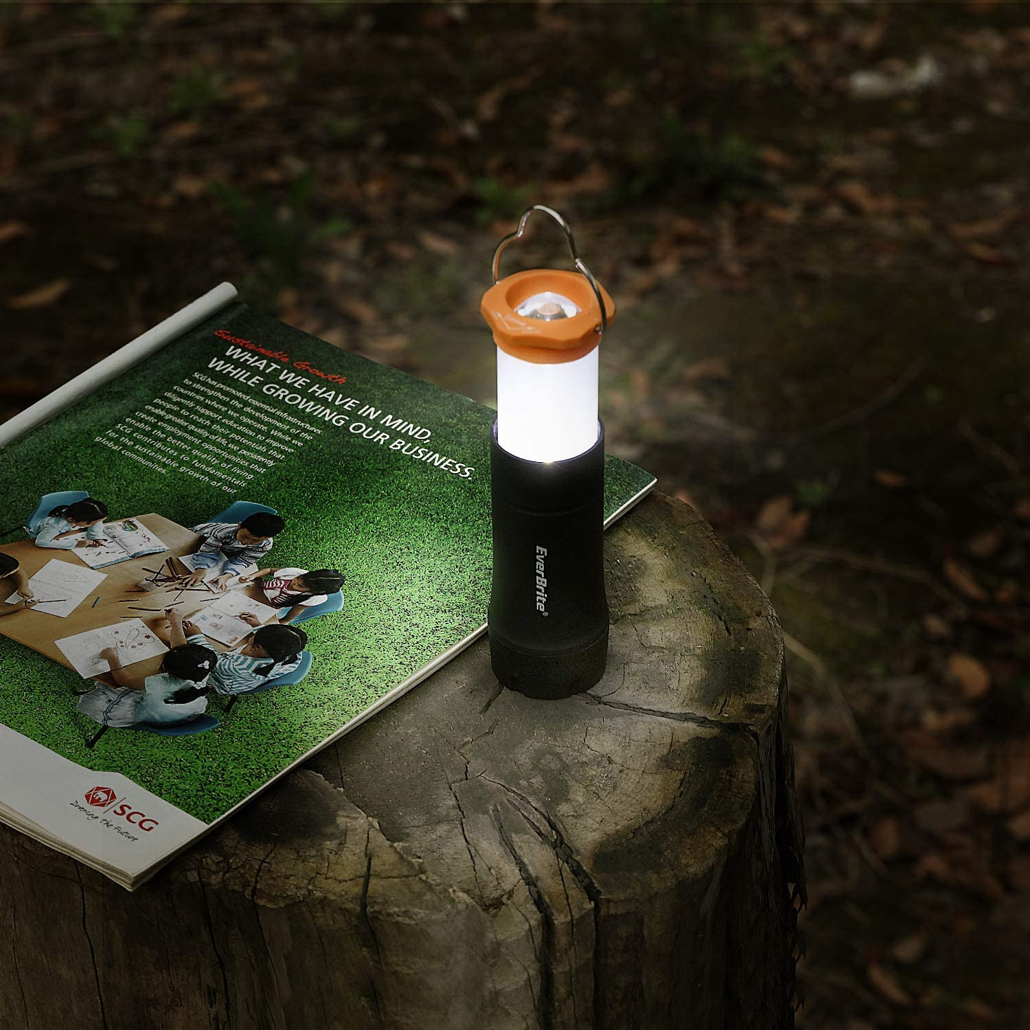 2-In-1 Mini Lanterns and Flashlights with 3 Modes, 2 Pack Portable