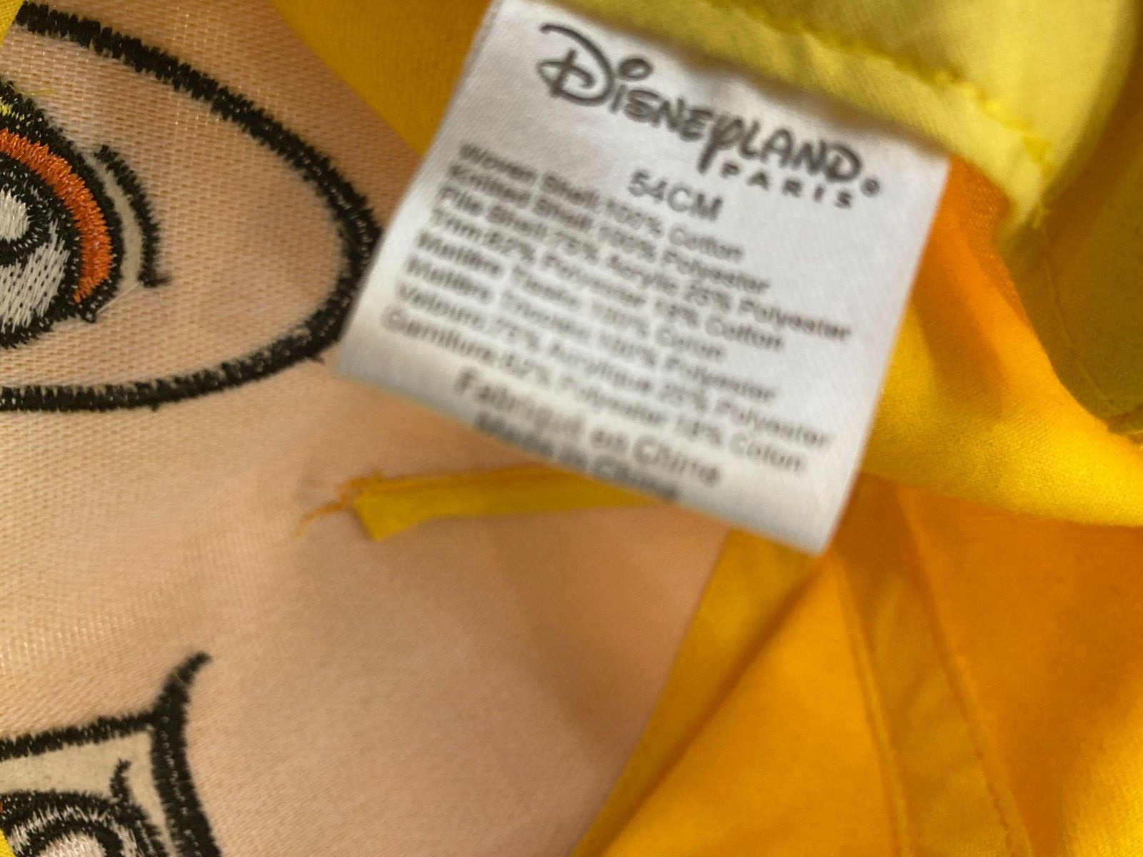 Disneyland Paris Simba Lion King Cap Ears Kids Free Post