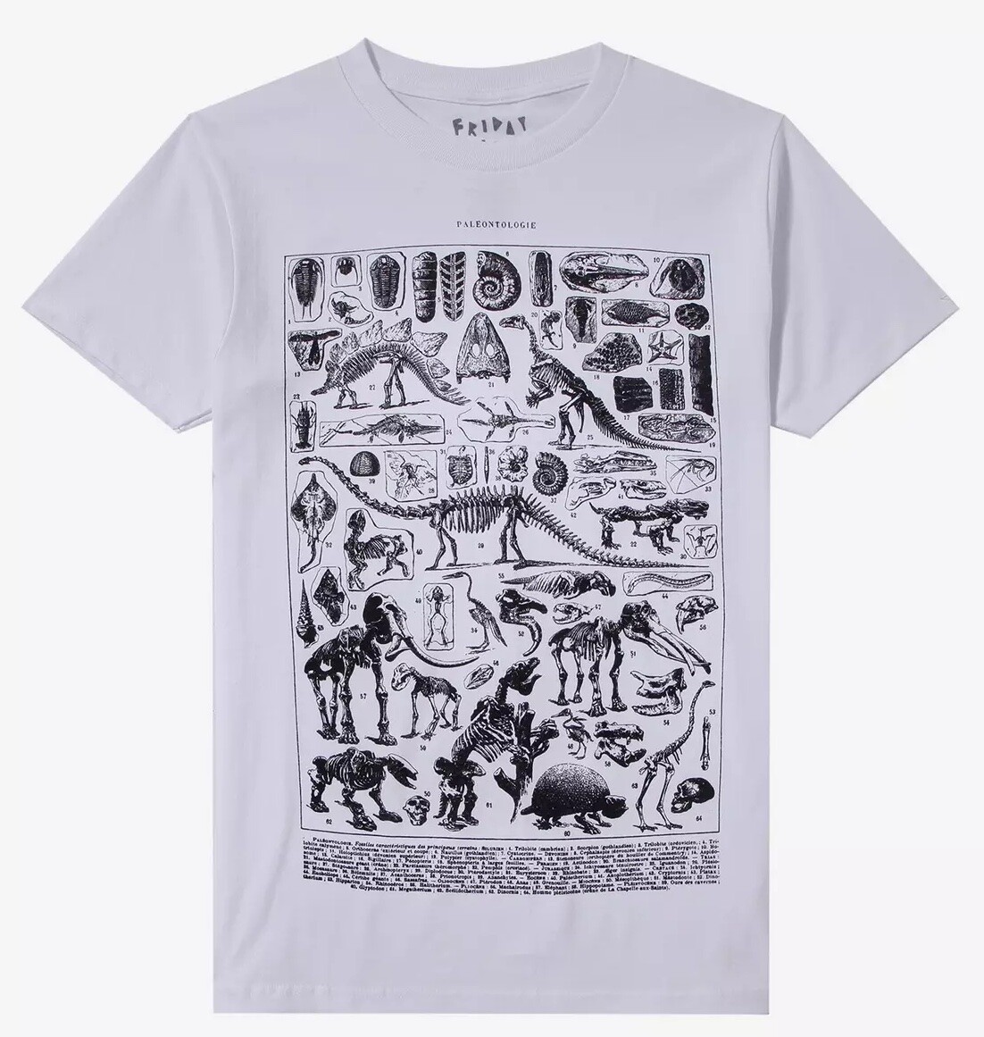 Prehistoric Fossil Chart T-Shirt By Friday Jr.