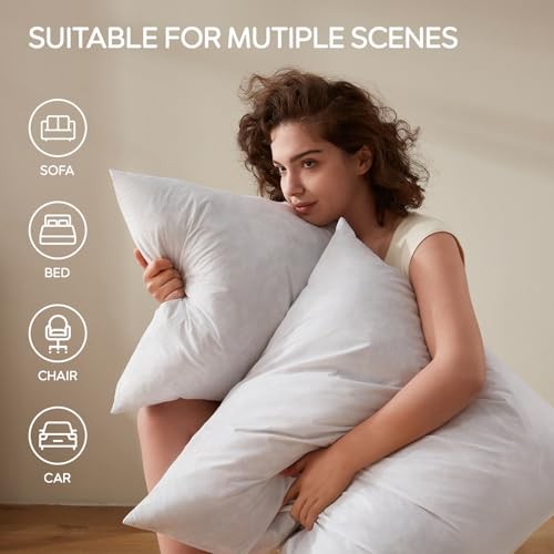 Feather Throw Pillow Inserts Set of Soft Fluffy Square 20 x 20 20 x 20-Inch 4