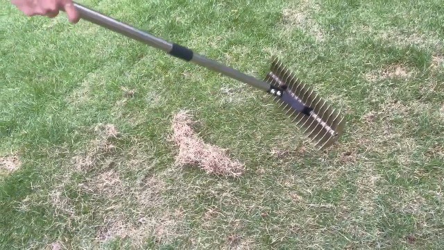 Adjustable Heavy Duty Thatch Rake - Lawn Dethatcher & Soil Rake for Garden Yard