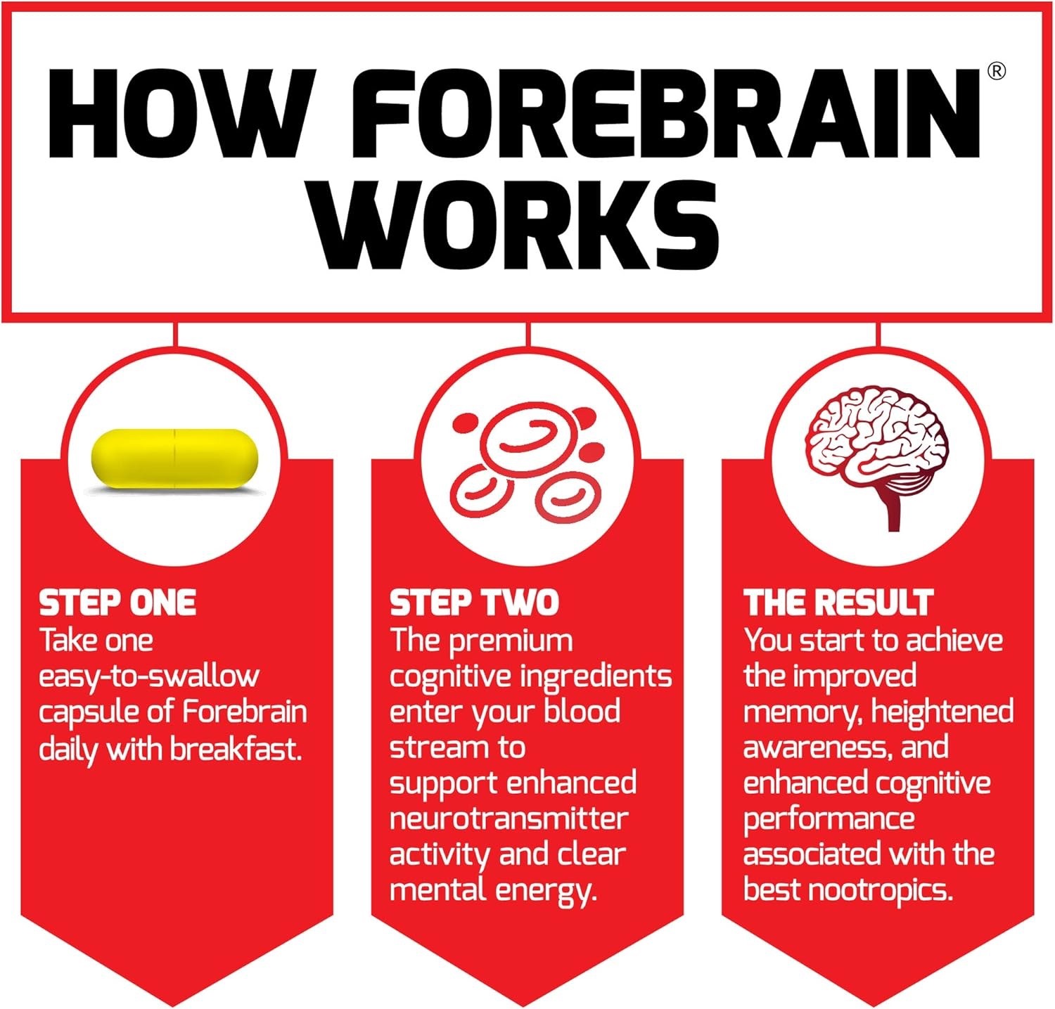 Force Factor Forebrain Nootropic Brain Supplement to Improve Memory 3 PK *READ*