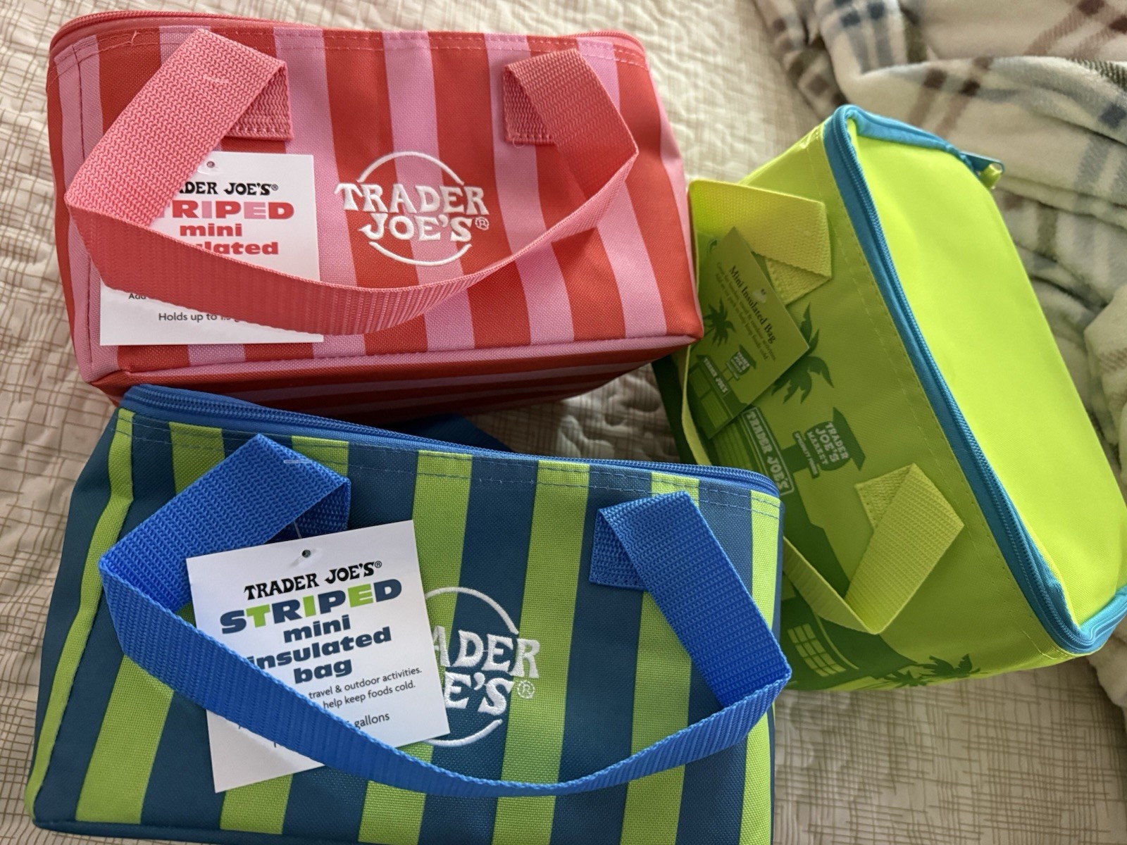 Trader Joe’s Striped Mini Insulated Cooler Bag Blue Green Pink Striped NWT