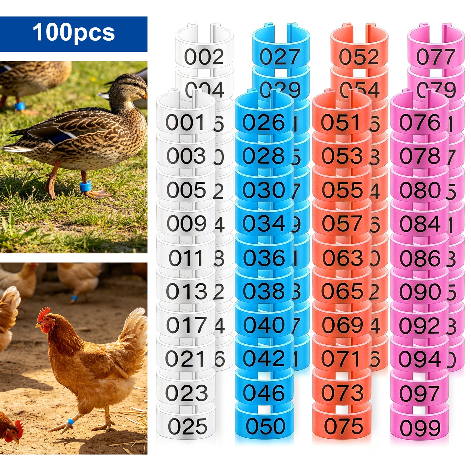 100PCS Chicken Leg Bands Numbered Poultry ID Rings Tags for Ducks Geese Pigeons