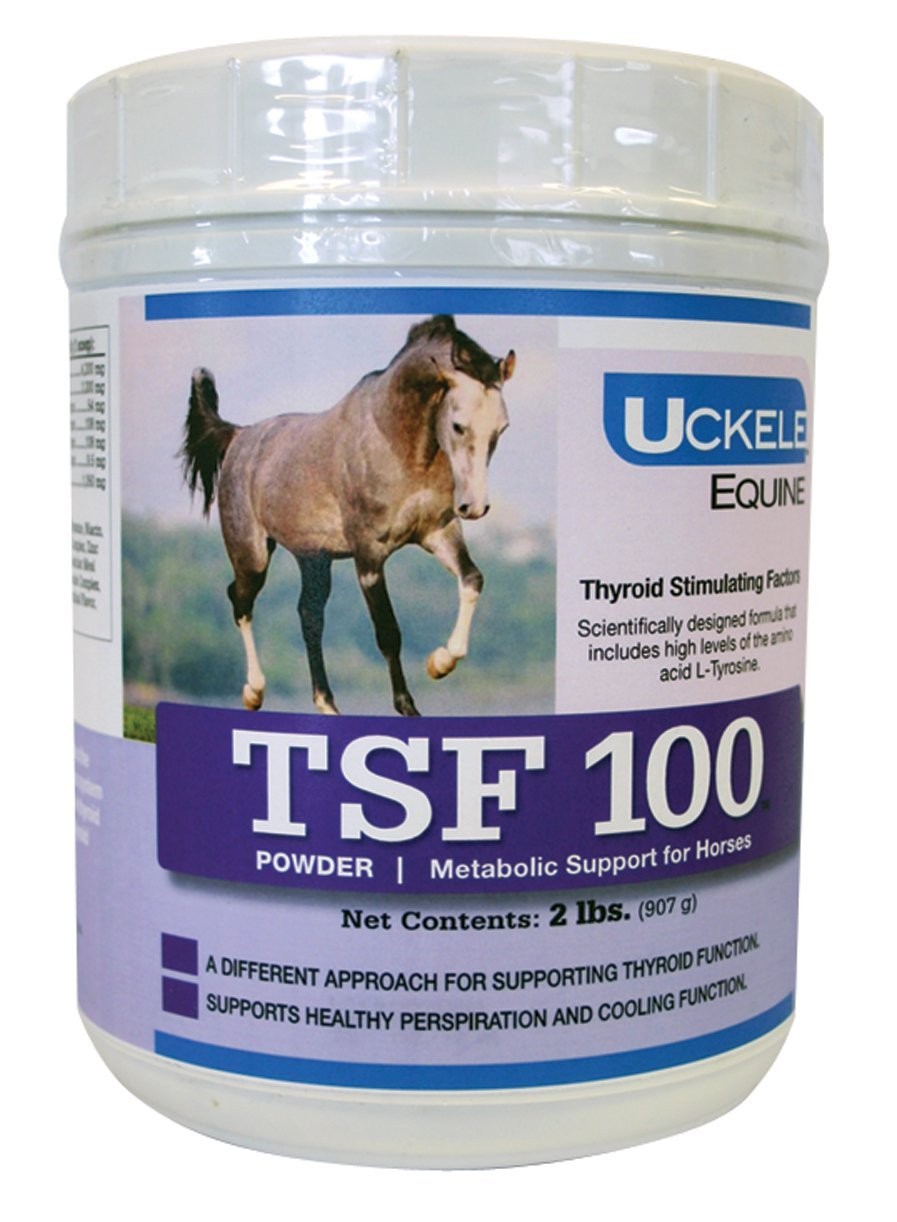 New Best Uckele TSF 100 Horse Supplement - Equine Vitamin & Mineral 2 Pound lb