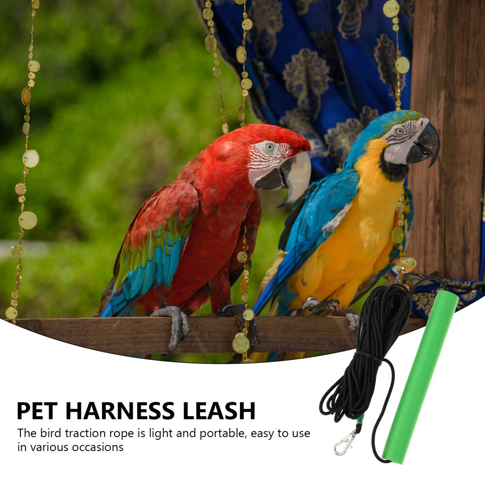 Conure Conure Bird Rope Hamster Leash Training