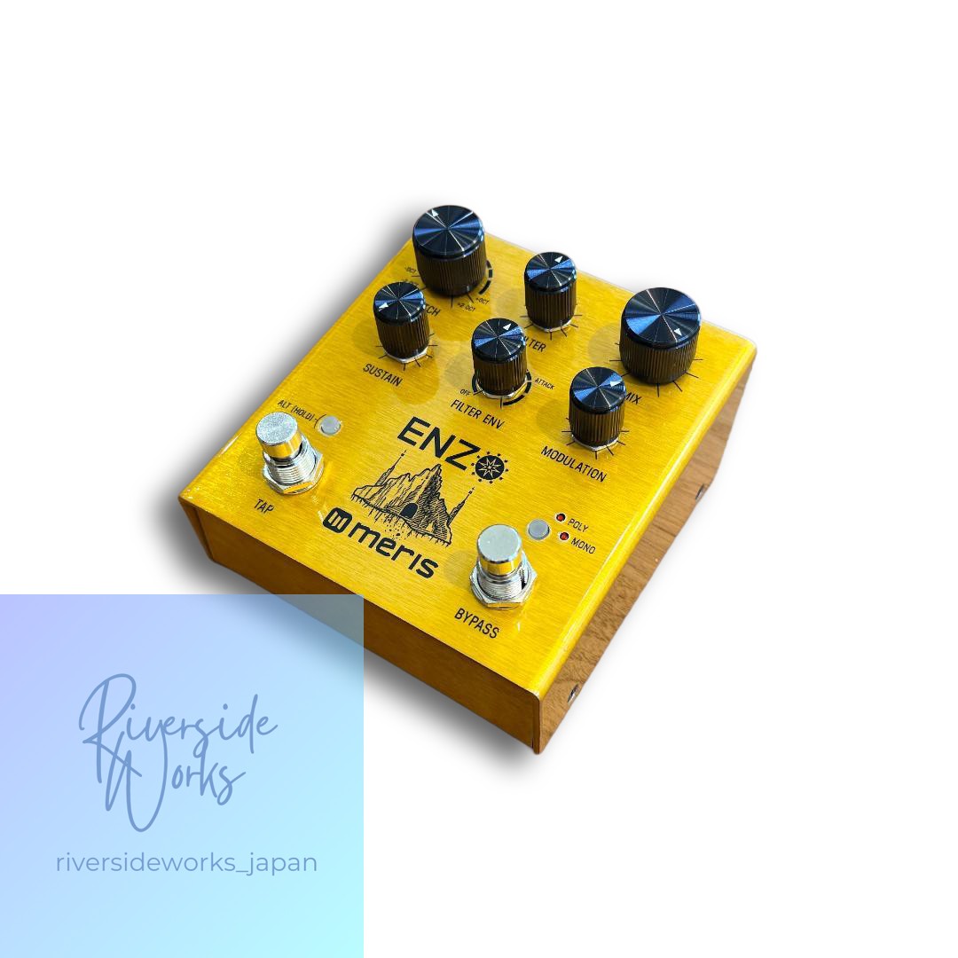 Meris ENZO Multi-Voice Synthesizer Pedal