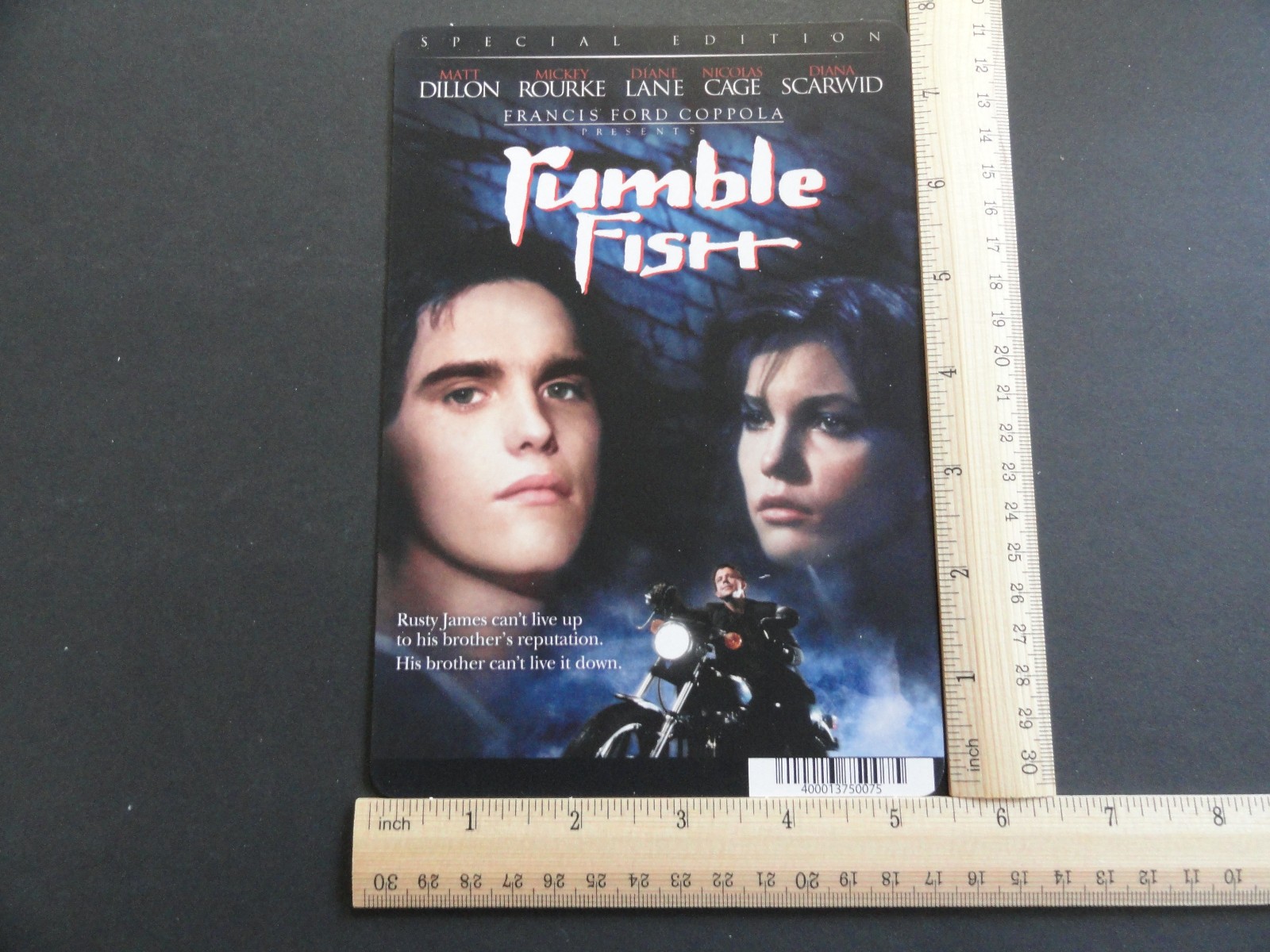 RUMBLE FISH (MATT DILLON) BLOCKBUSTER VIDEO BACKER CARD