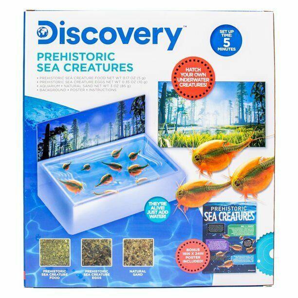 DISCOVERY HATCH YOUR OWN PREHISTORIC SEA CREATURES *DISTRESSED PKG