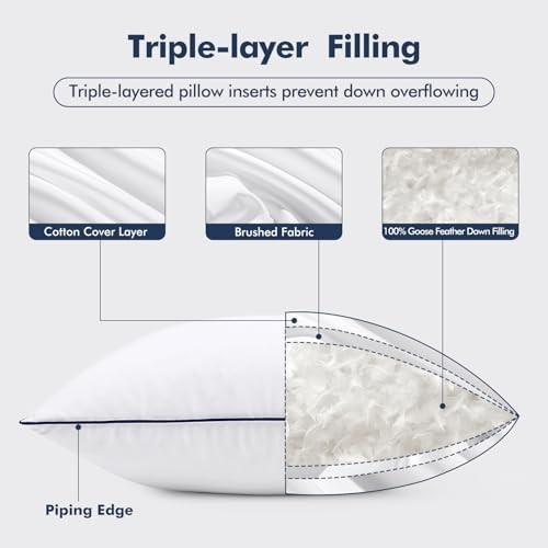 Goose Feather Down0x0 Pillow Insert Set of with 100% Down-Proof 20x20 Inch 2