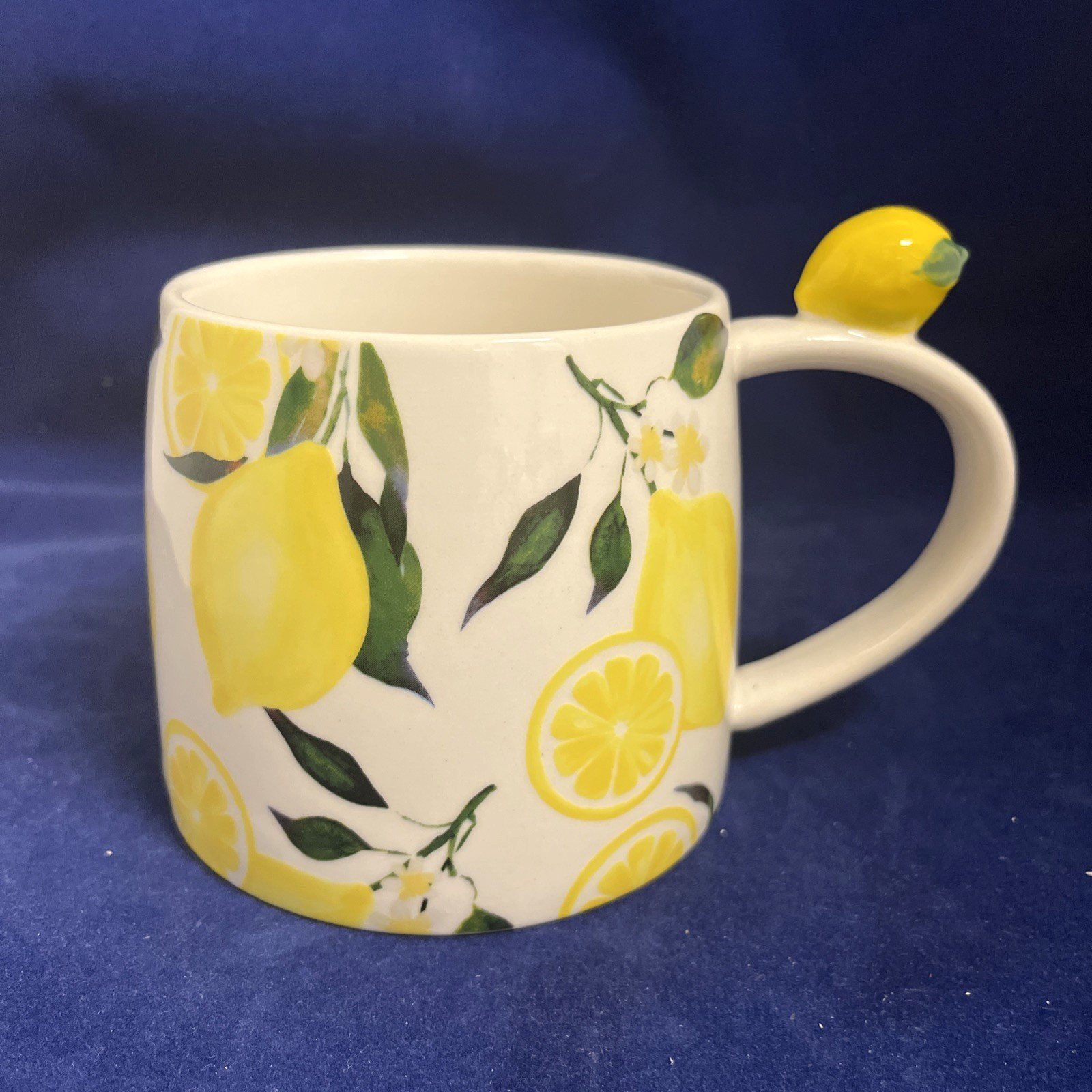 Ashland CITRUS KITCHEN Ceramic Mug(s)  14.5 Oz NWT