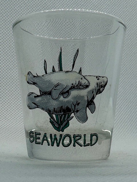 Sea World Clear Shot glass