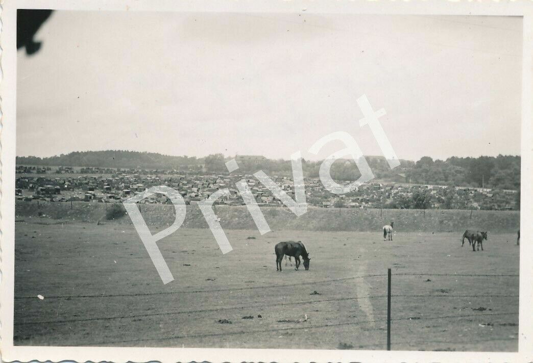 Photo WW II Captured French Convoy 17-19.6.1940 France F1.67
